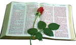 Online Bible Course